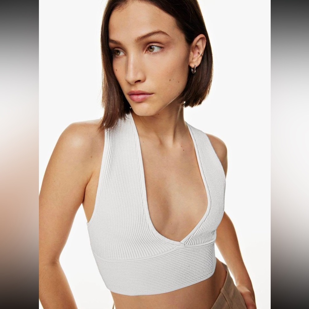 Aritzia Babaton sculpt knit deep v ribbed knit cropped tank top opal grey 2XS